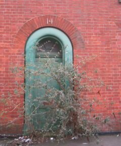 beverley_hall_2.jpg